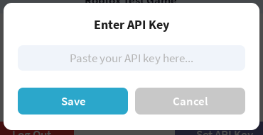 API Key save interface
